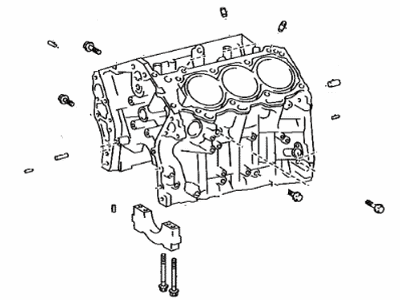 Lexus 11410-F9010 Block Assembly, Cylinder