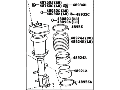 Lexus 48080-48040 Cylinder Assy, Pneumatic, Rear RH W/Shock Absorber