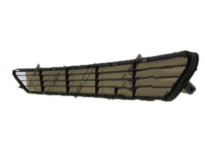 Lexus 53112-50230 Grille, Radiator, Lower NO.1