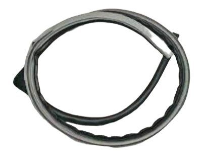 Lexus 62311-60070-B0 WEATHERSTRIP, Front Door GRAY