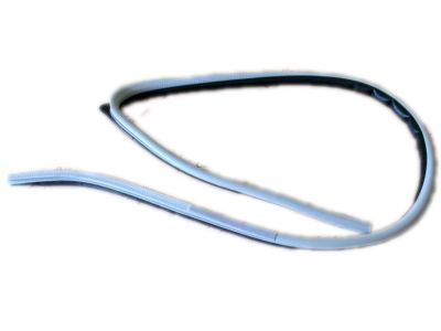 Lexus 62312-60010-06 WEATHERSTRIP, Front Door