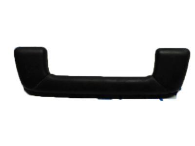 Lexus 74610-30340-C0 Grip Assembly, Assist