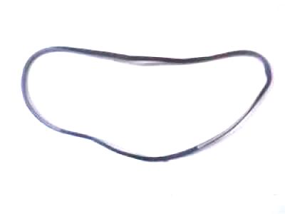 Lexus 62312-0E010-A0 Weatherstrip, Front Door Opening Trim, LH