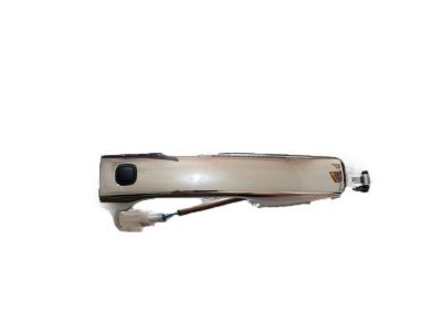 Lexus 69210-60110 Front Door Handle Assembly, Outside