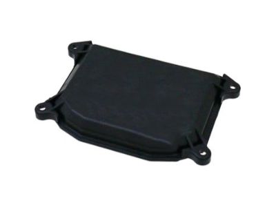 Lexus 90075-99062 Socket Cover