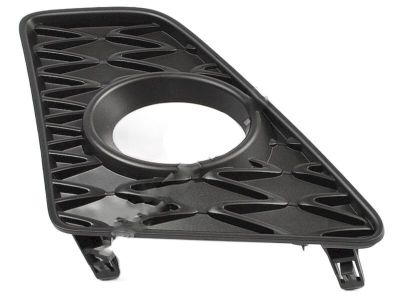 Lexus 53142-30100 Garnish, Radiator Grille