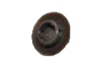 Lexus 90950-01800-E5 Plug, Hole