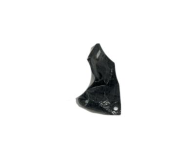 Lexus 81196-60120 RETAINER, HEADLAMP Protector