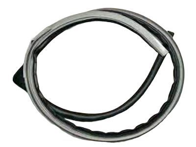 Lexus 62311-60020-A0 Weatherstrip, Front Door Opening Trim, RH