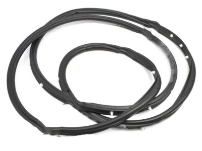 Lexus 62312-33100 WEATHERSTRIP, Front Door