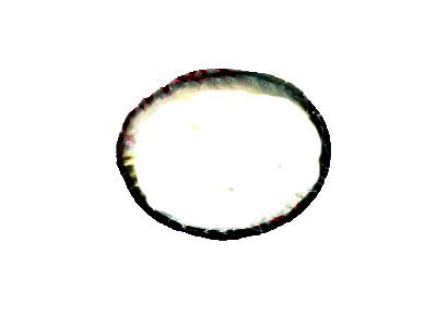 Lexus 90301-79006 Ring, O