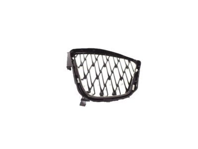 Lexus 53142-24050 Garnish, Radiator Grille