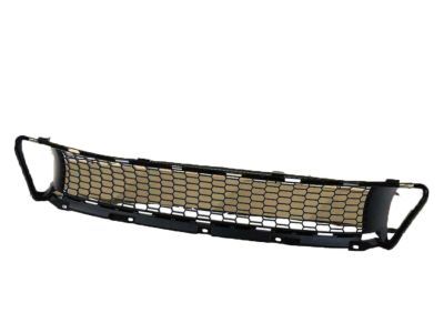 Lexus 53113-53020 Grille, Radiator, Lower