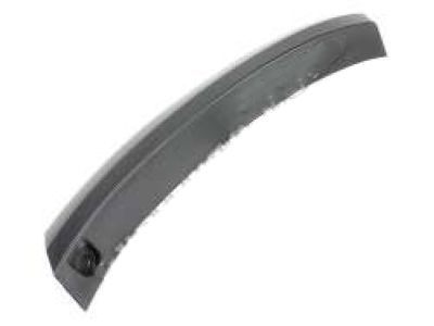 Lexus 52707-24020-A0 MOULDING Sub-Assembly, Rear Door