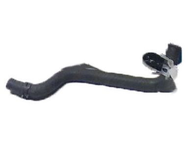 Lexus 16567-38011 Hose, Radiator To Reserve