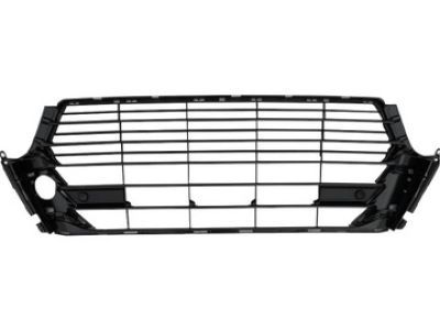 Lexus 53113-30901 Grille, Radiator, Lower