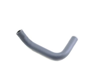 Lexus 23829-50150 Hose, Fuel Vapor Feed