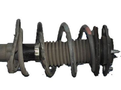 Lexus 48131-76010 Spring, Coil, Front