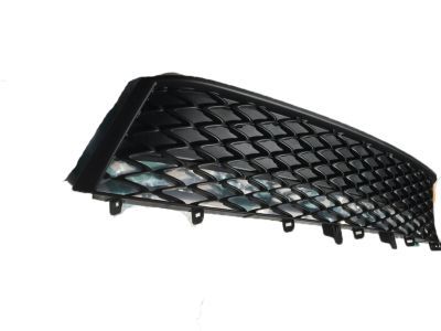 Lexus 53112-0E100 Grille, Radiator, Lower